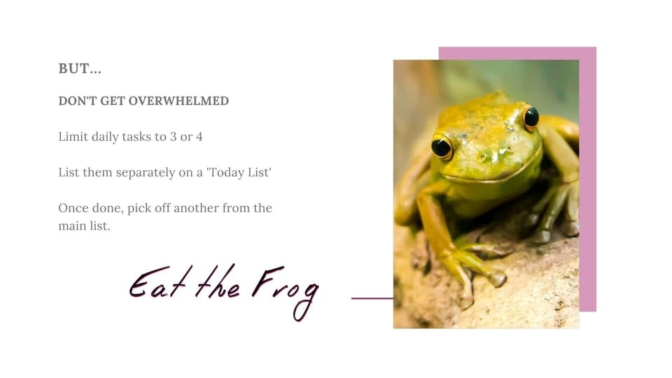 Eat the frog - how a Virtual assistant can help you be more productive.