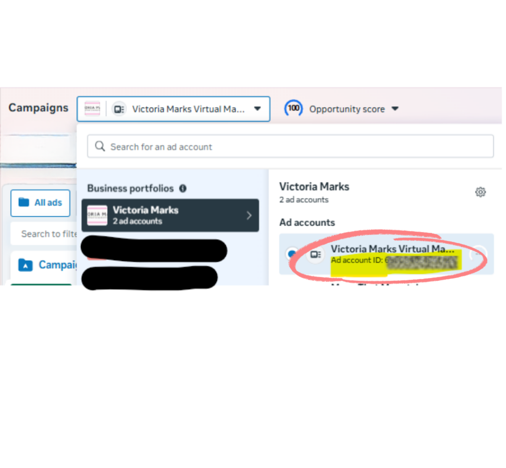 image of Meta dash with the ID number highlighted (but obscured)